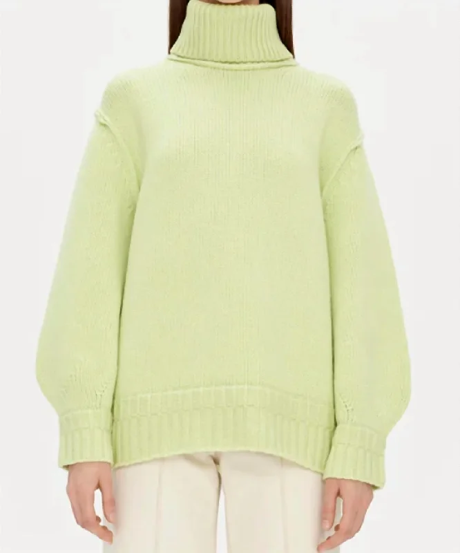 Color - Blocked Women Sweater for a Bold Fashion StatementLeylani Turtleneck Sweater In Light Green