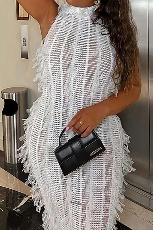 Shift Women Dress with a Simple and Classic Design for Everyday WearFringe Mesh Mock Neck Midi Dress